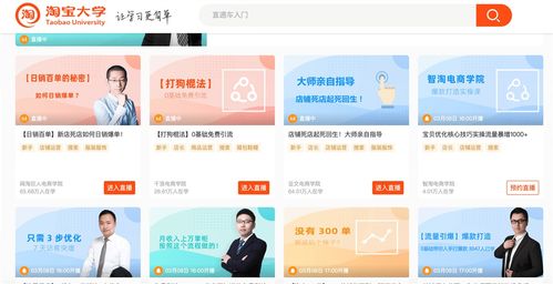 2.9億農(nóng)民工新選擇 足不出戶，掌握網(wǎng)絡(luò)與信息安全軟件開發(fā)的求職攻略